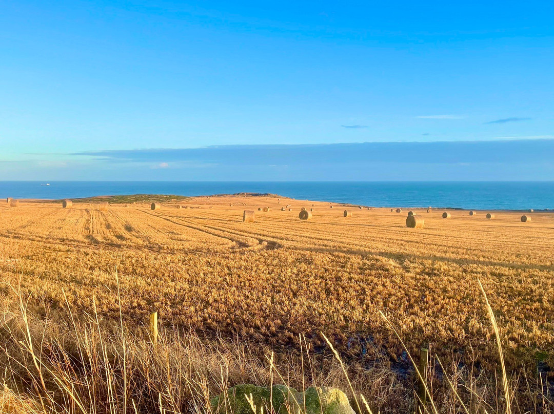 Longhaven Cliffs-Peterhead必去景点