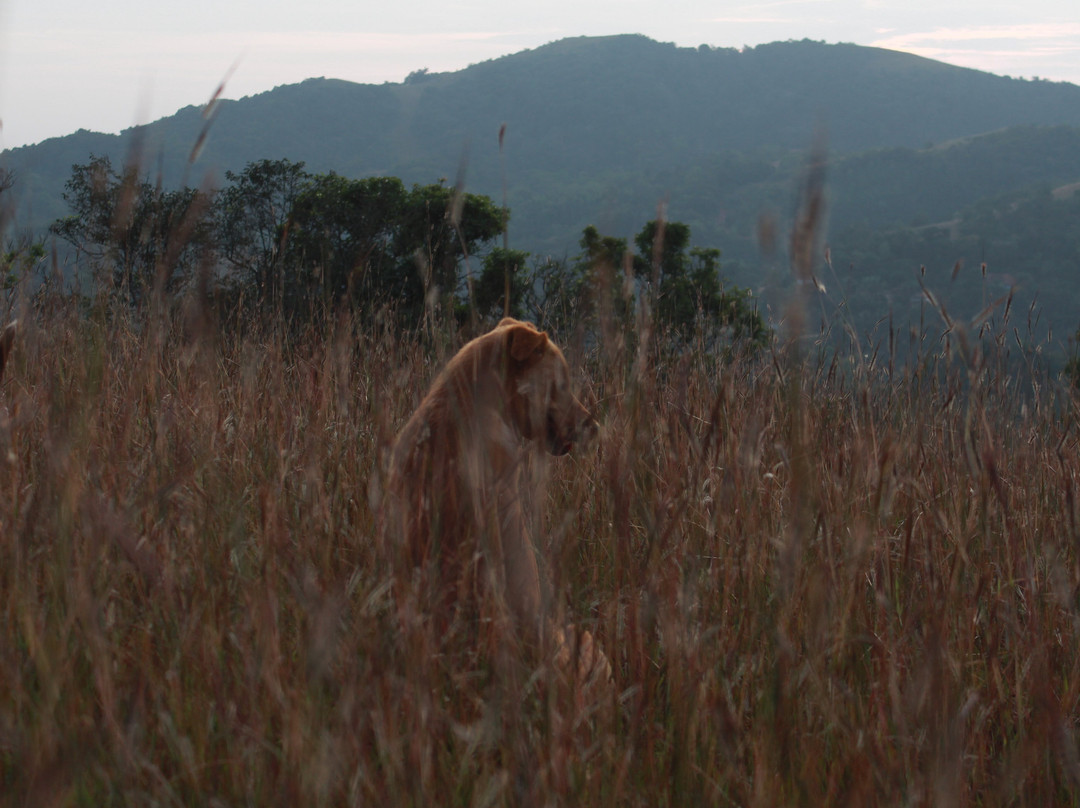 Misty Mountains Homestay主图