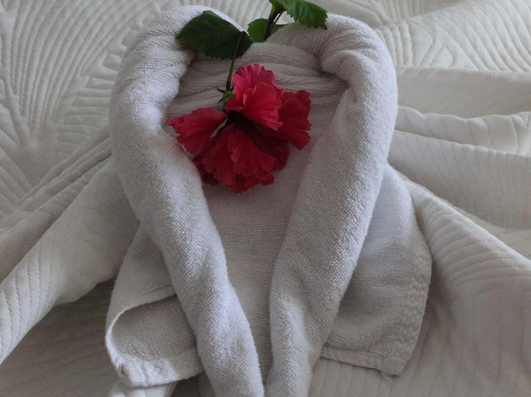 Iberostar Coral Ensenachos主图