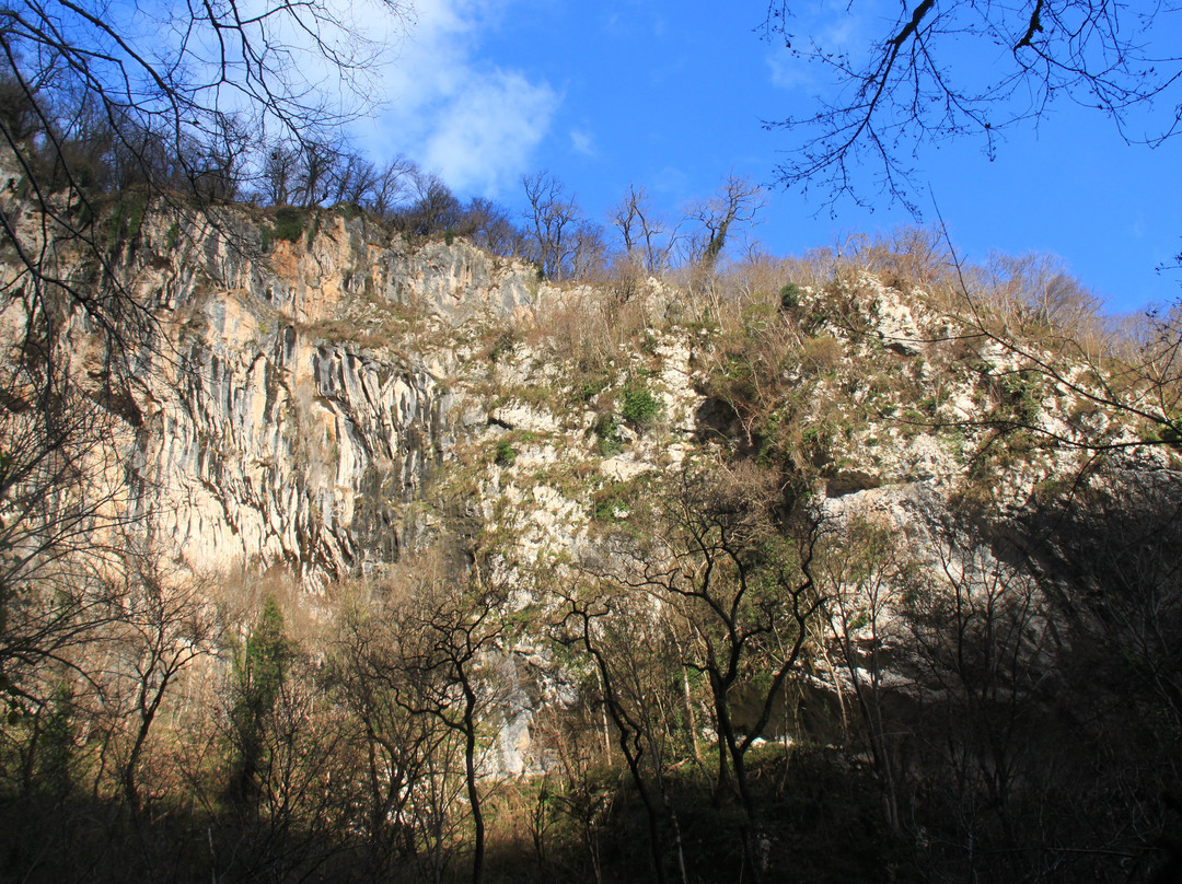 Trout Farm Chernorechenskoye景点图片