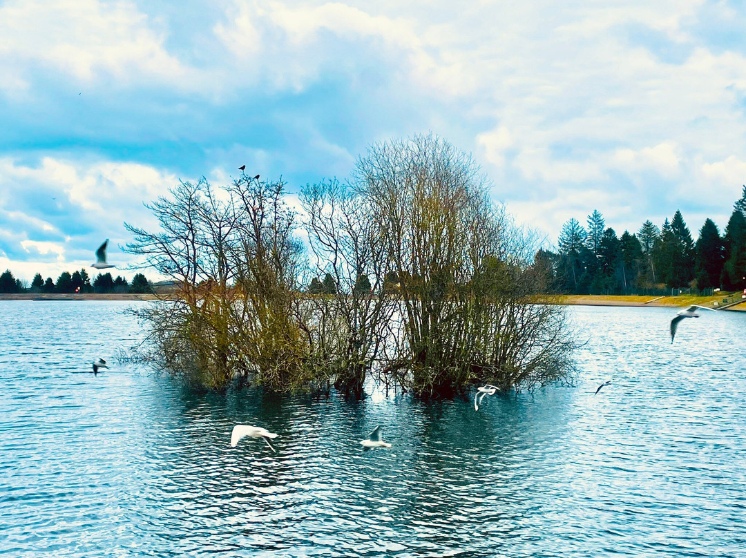 Clatto Country Park景点图片