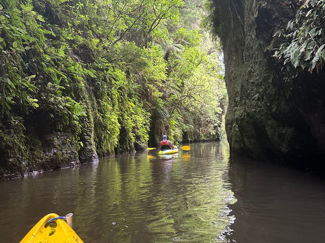 Riverside Adventures Waikato景点图片