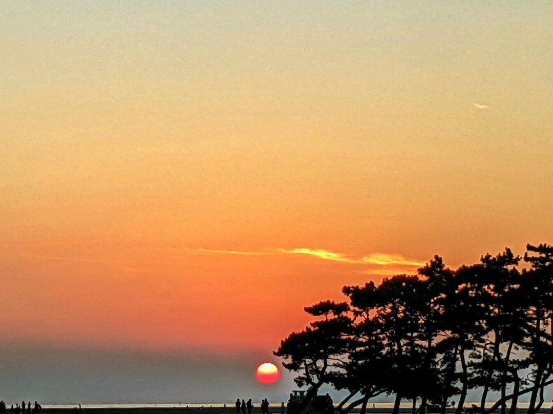 Takasago Seaside Park-高砂市必去景点