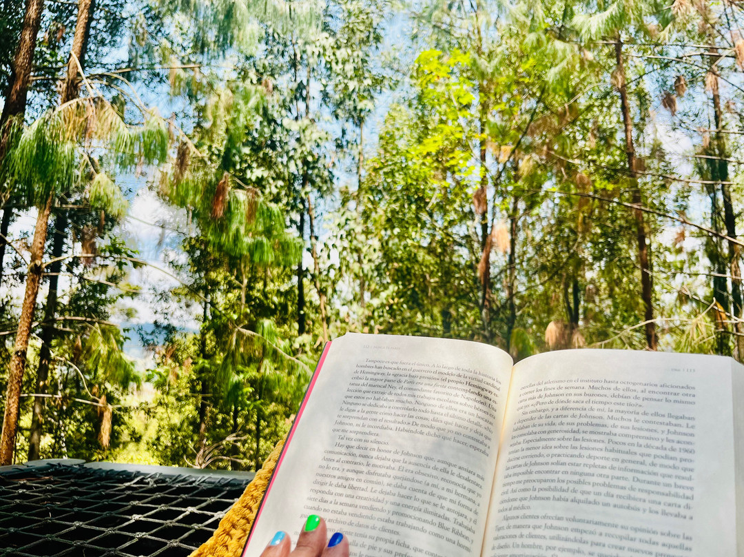 Hotel Colonial Colsubsidio主图