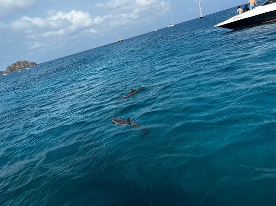 Agência Noronhe-se-费尔南多-迪诺罗尼亚群岛必去景点