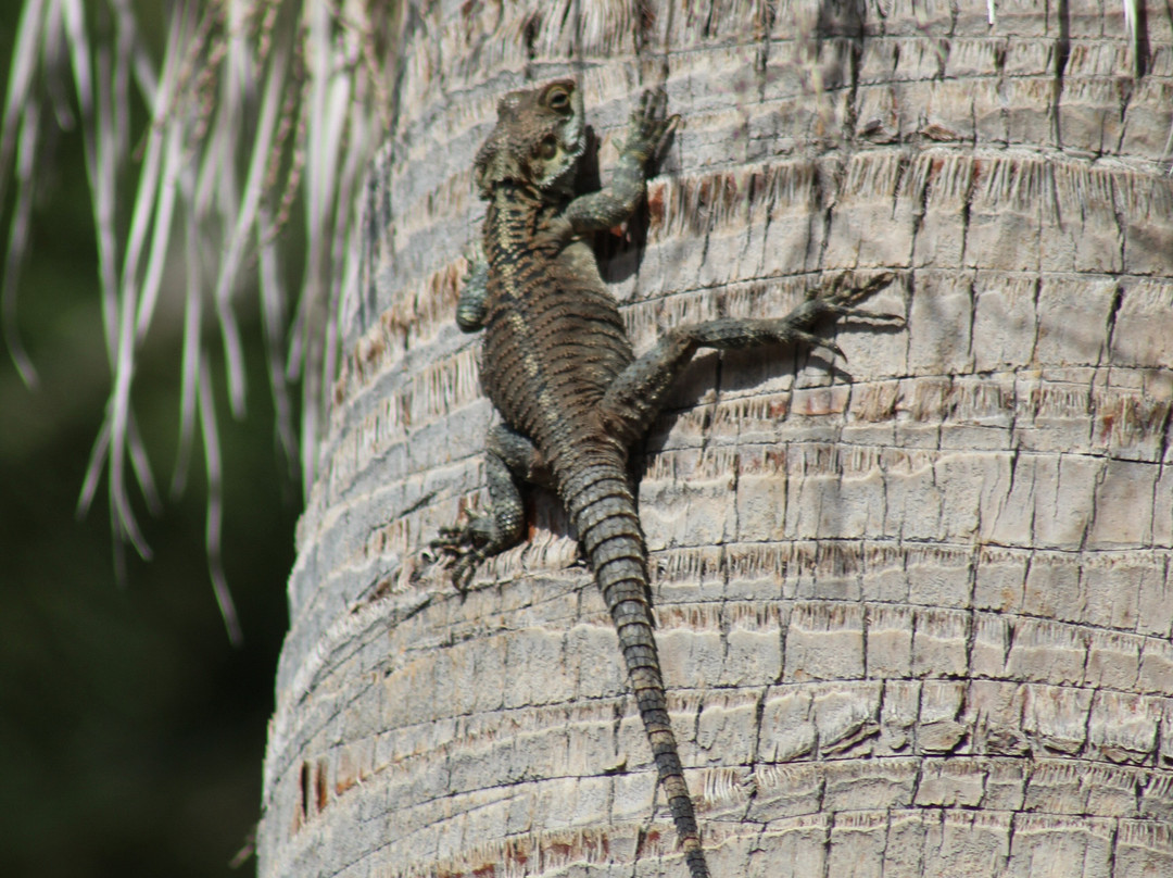 Villa Sweet Memories主图