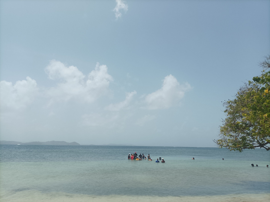 Les Kayaks des Ilets du Francois-Le Francois必去景点