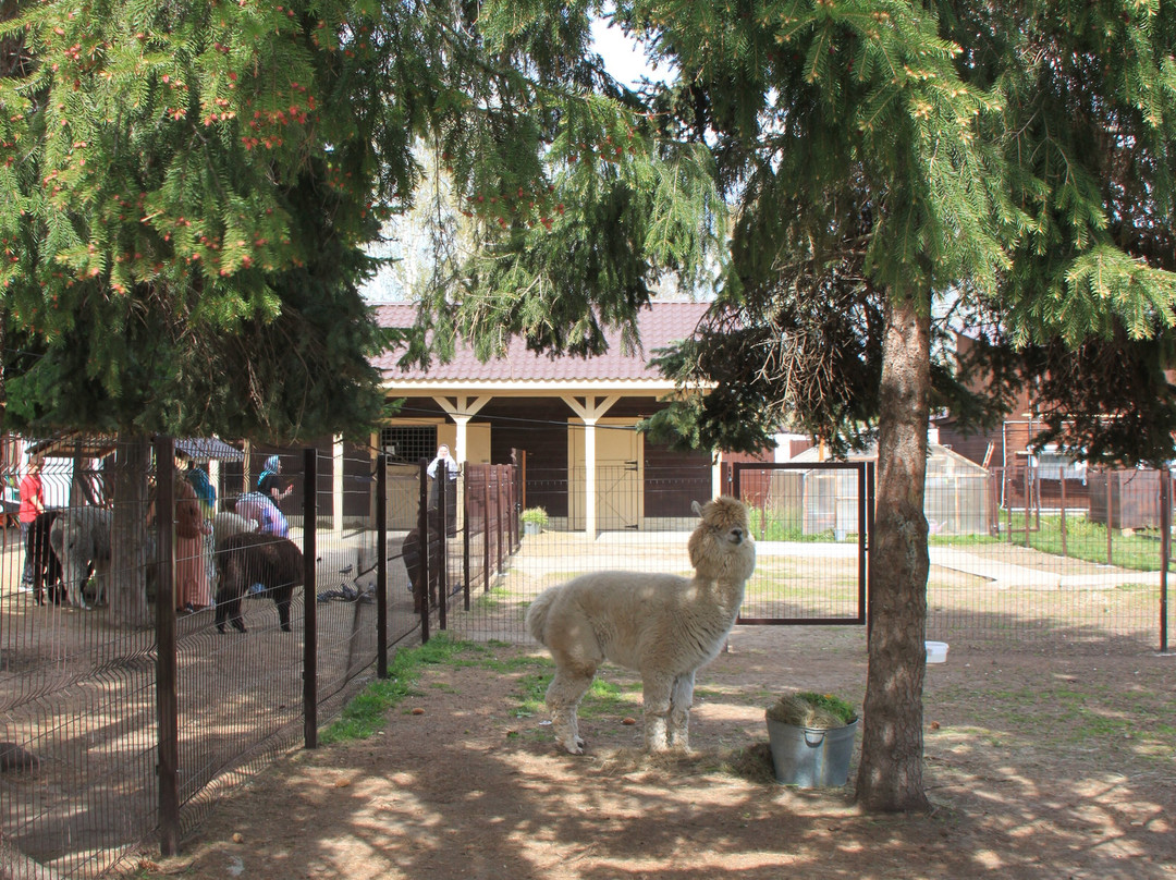 Holy Protection Monastery景点图片