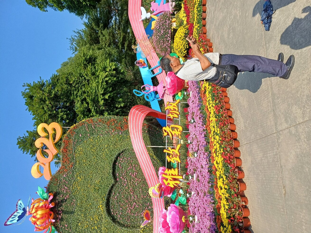 佛山印象城景点图片