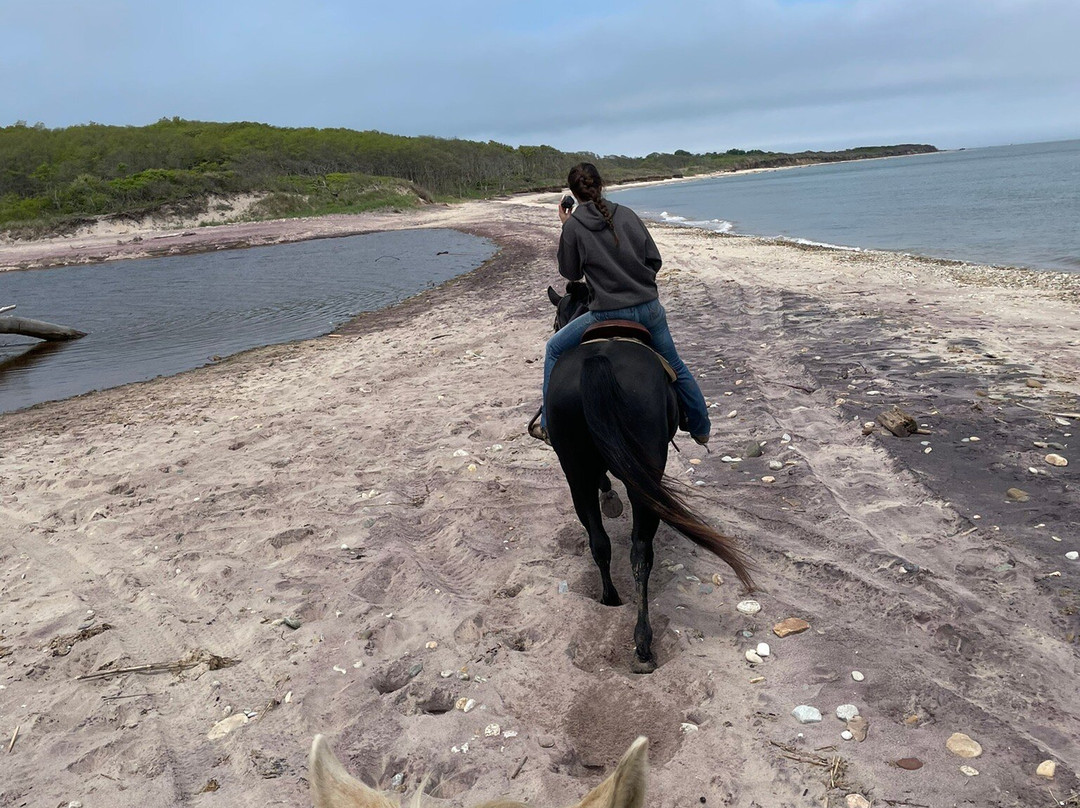 Deep Hollow Ranch-蒙托克必去景点