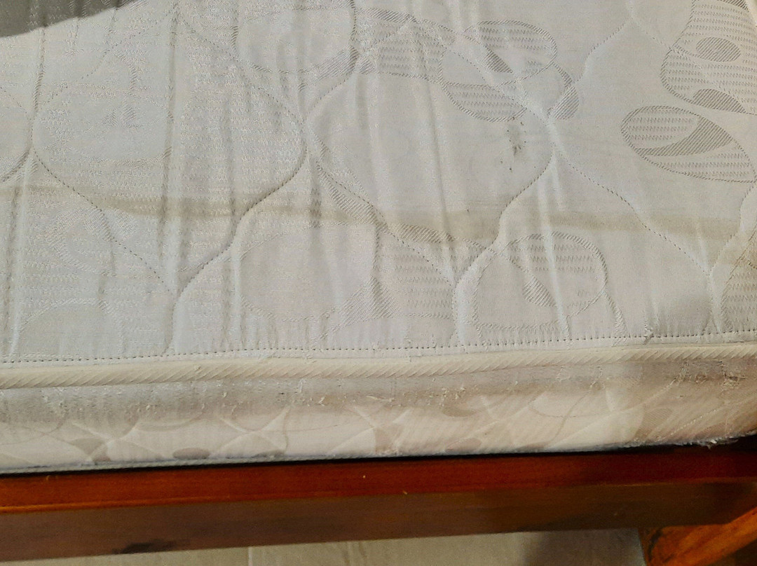 乐园塔韦马尼酒店主图