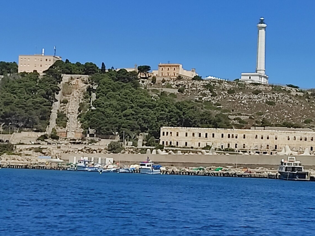 Delfino Blu Escursioni-Torre Vado必去景点