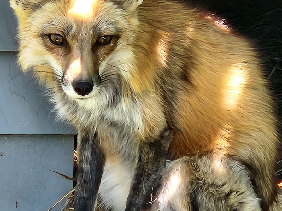 CineZoo-Sainte-Anne-de-la-Rochelle必去景点