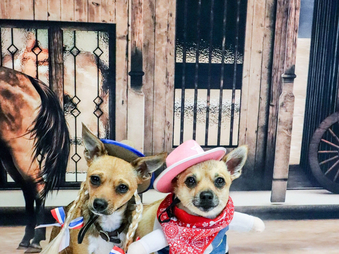 Pioneer Motel & RV Park主图