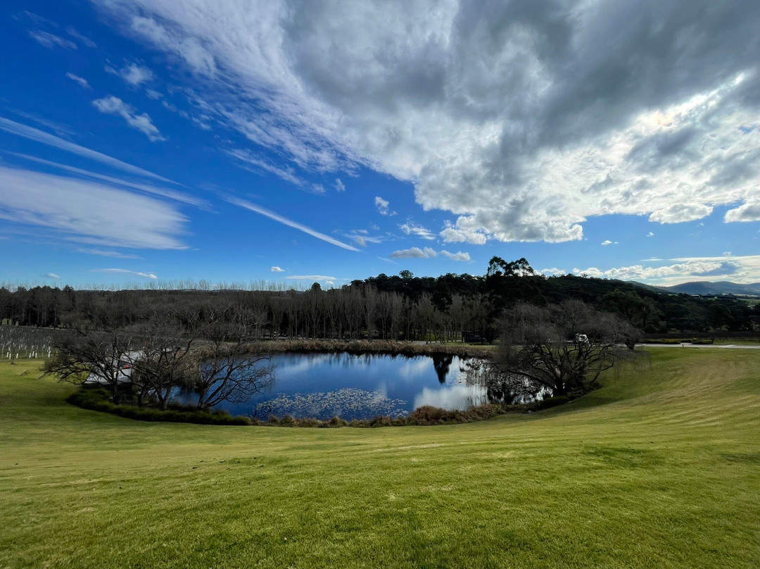 TarraWarra Estate Cellar Door-亚拉格林必去景点