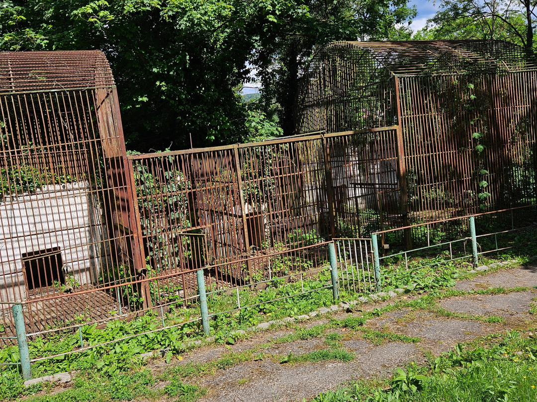 Zoo Reșița景点图片