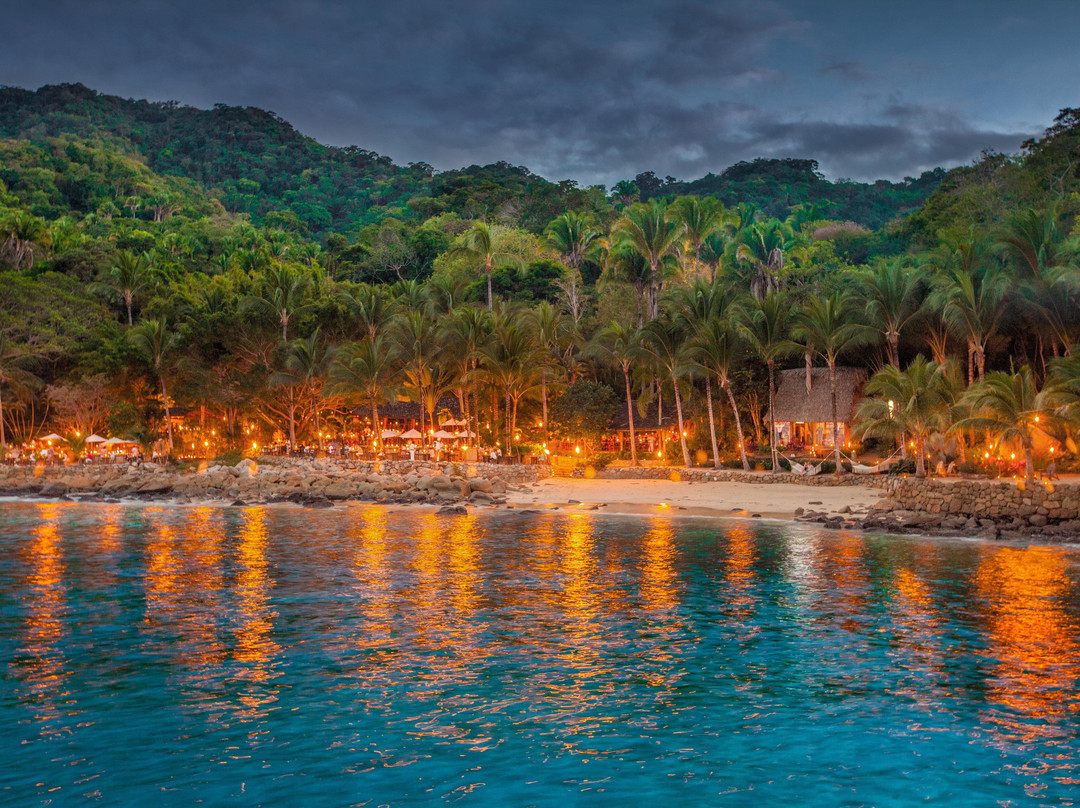 Rhythms of the Night by Vallarta Adventures-瓦拉塔港必去景点