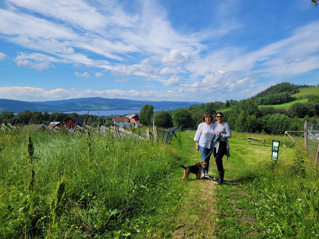 Snilsberg Familiepark景点图片