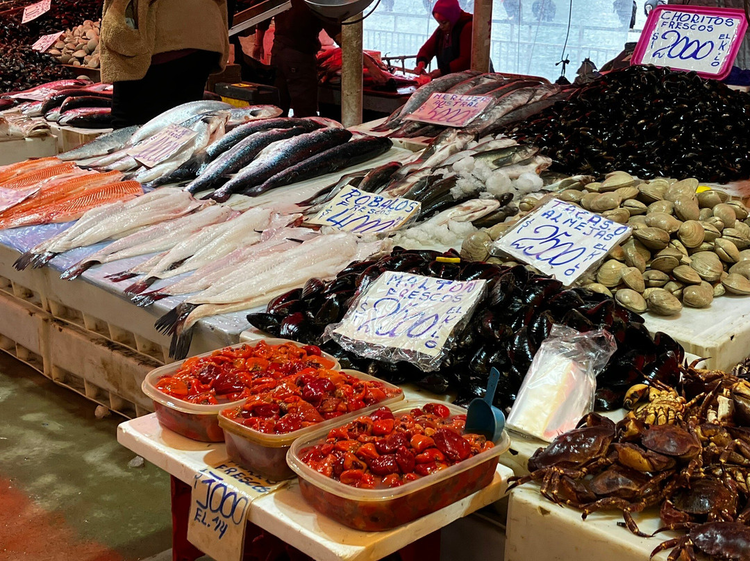 Feria Fluvial de Valdivia-瓦尔迪维亚必去景点