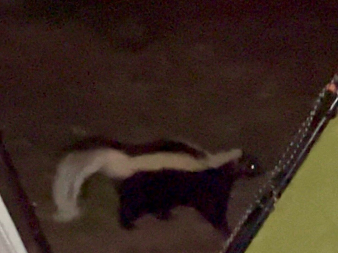 Sleeping Giant Provincial Park-Pass Lake必去景点