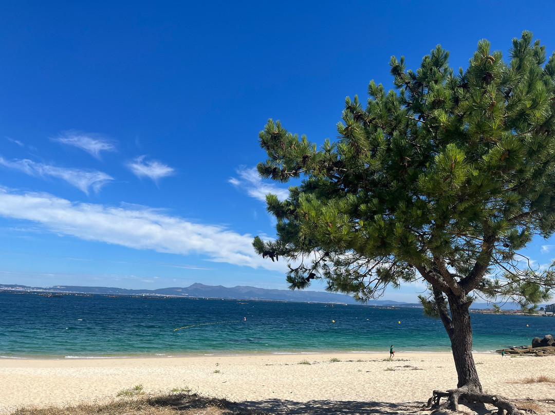 Playa Area das Pipas景点图片