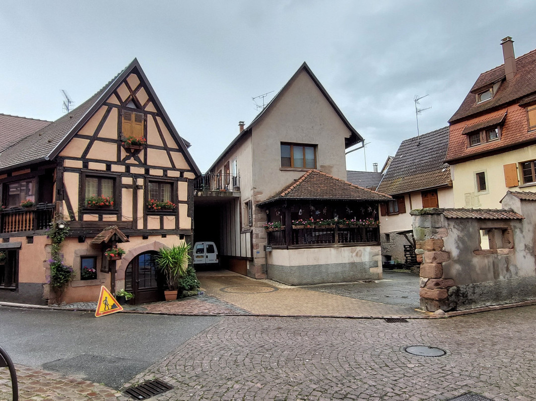 Vieille ville de Bergheim景点图片