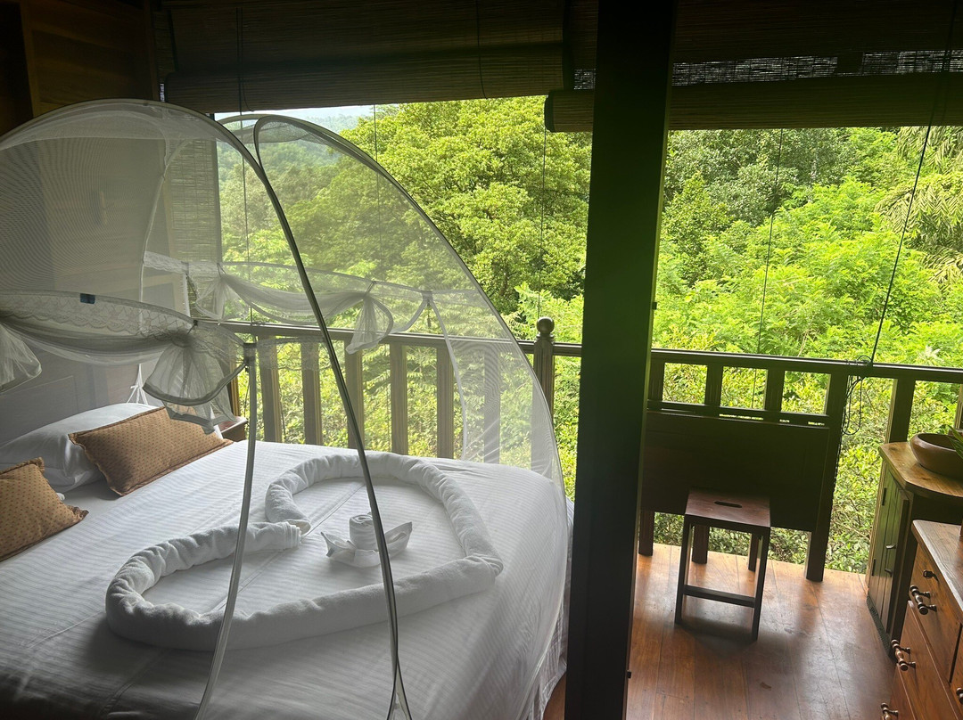 Wanakaset Sri Lanka-Kitulgala必去景点