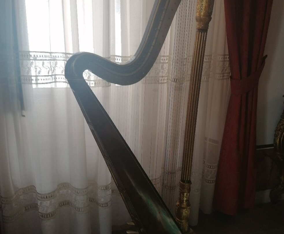 Museo Zorrilla景点图片