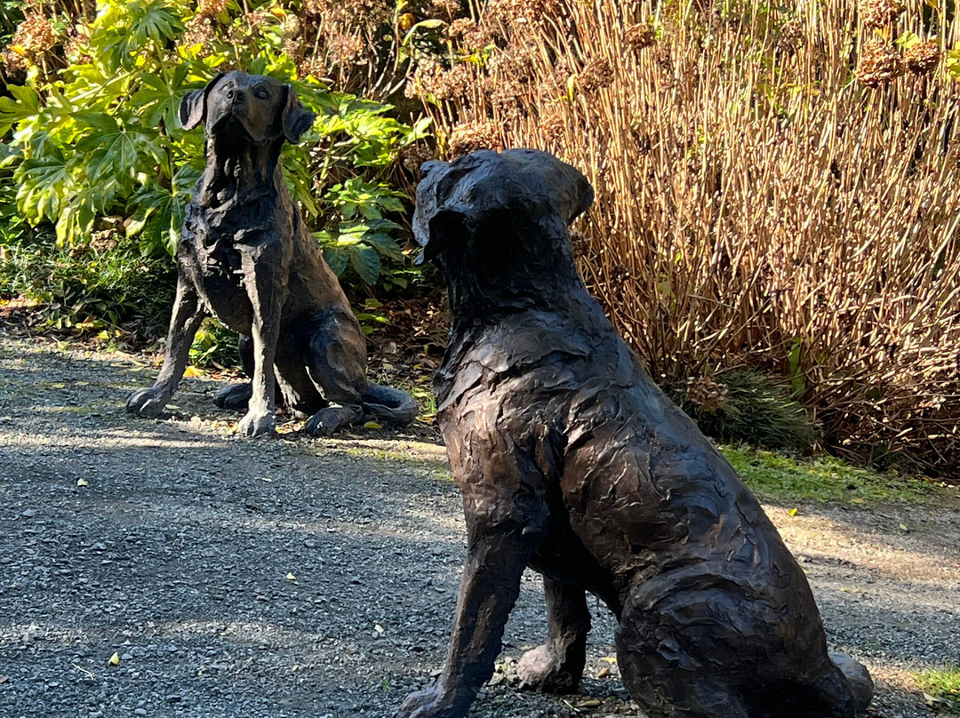 Kaipara Coast Sculpture Gardens-Kaukapakapa必去景点