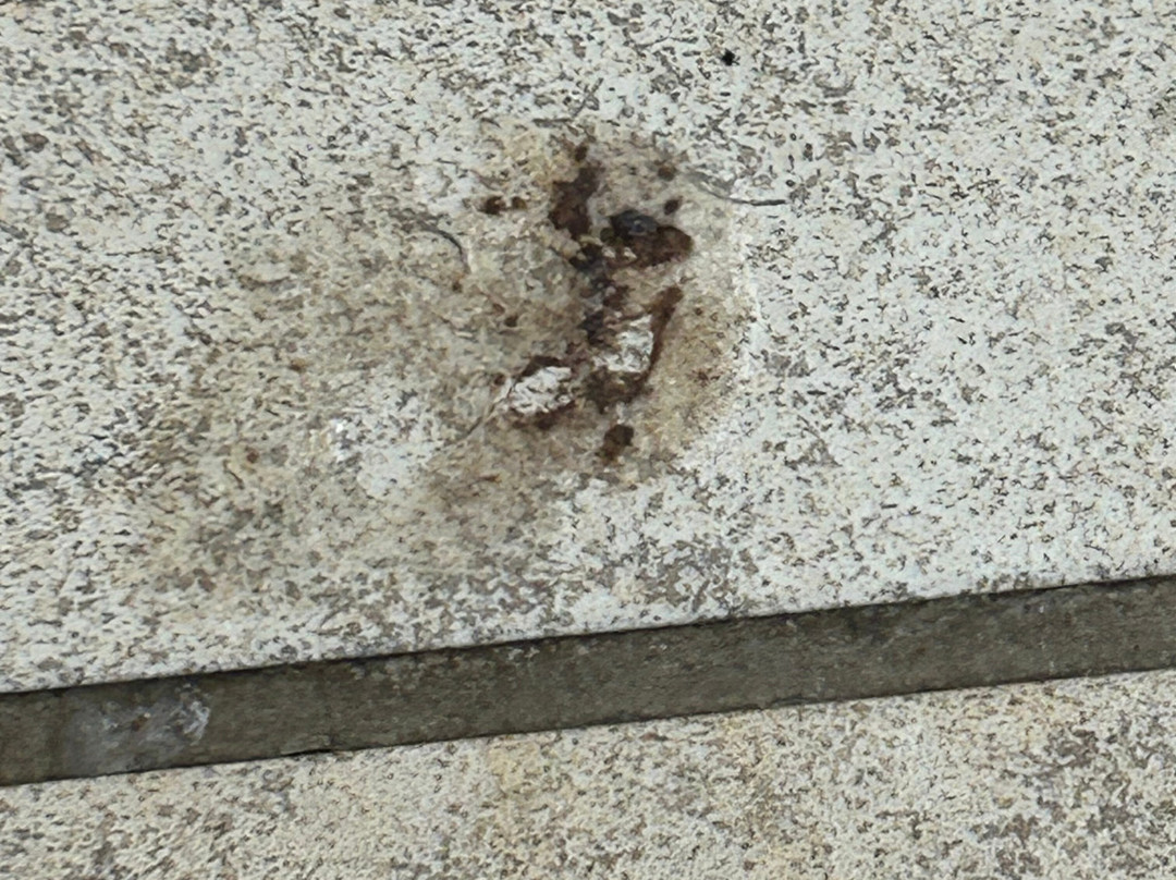 DoubleTree by Hilton Burlington Vermont主图