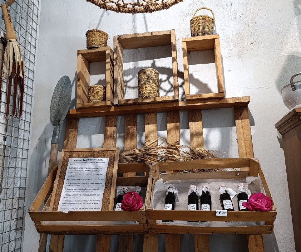 The Place-帕福斯必去景点