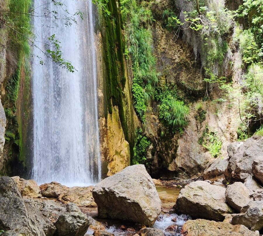 Oasi Wwf Valle della Caccia-Senerchia必去景点