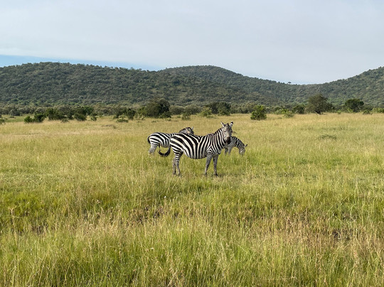 Maasai Mara National Reserve