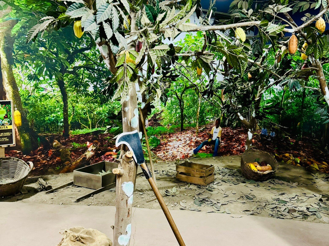 Museu do Chocolate景点图片