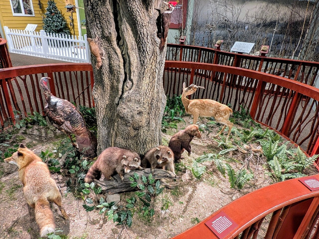 罗伯森博物馆和科学中心景点图片