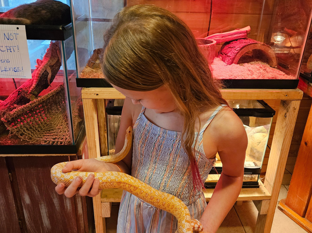 Hochatown Petting Zoo-Broken Bow必去景点