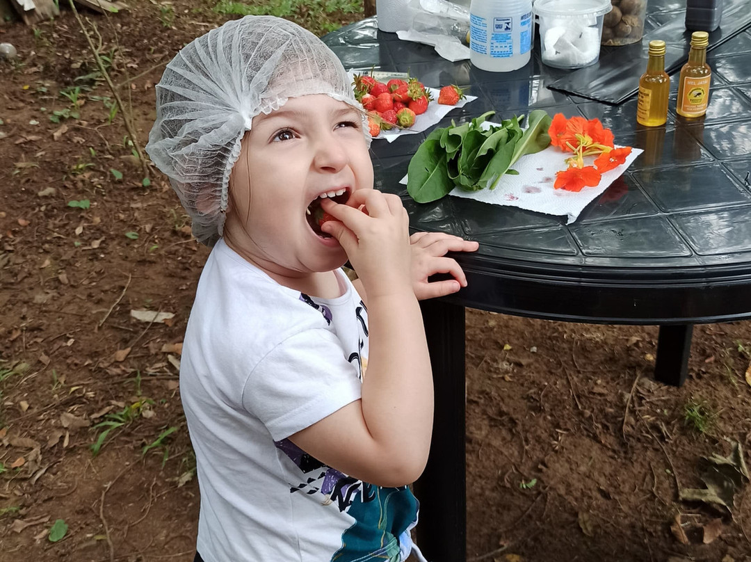 Experiências Da Colônia-Nova Petropolis必去景点