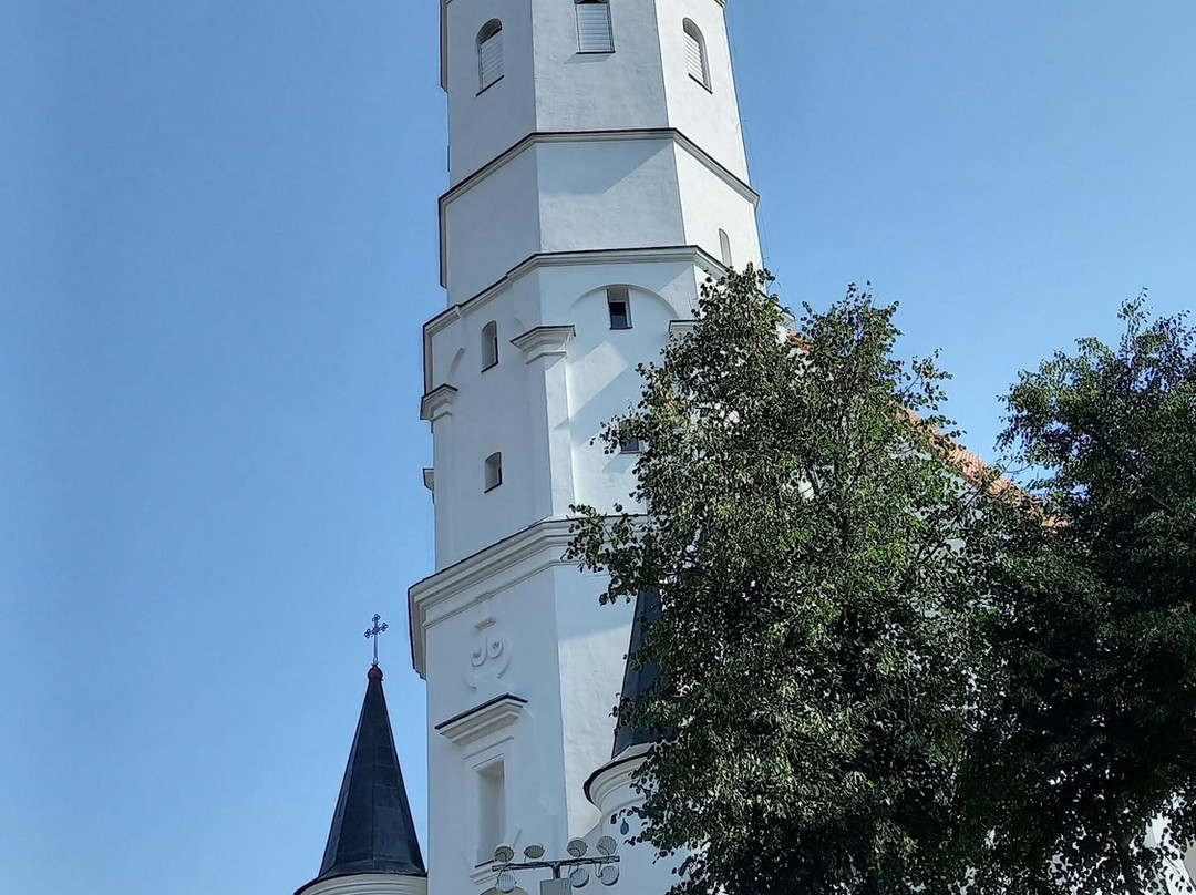 Siauliai Saint Disciple Peter and Paul Cathedral-希奥利艾必去景点