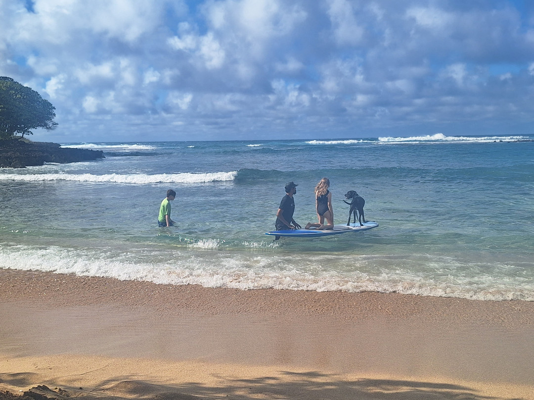 Hawaii Surf Dogs-卡胡库必去景点
