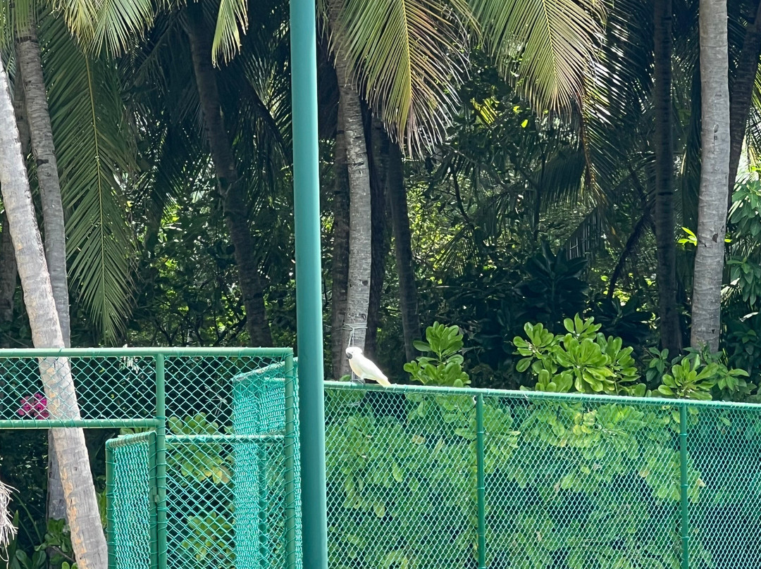 阿米拉弗什度假酒店主图