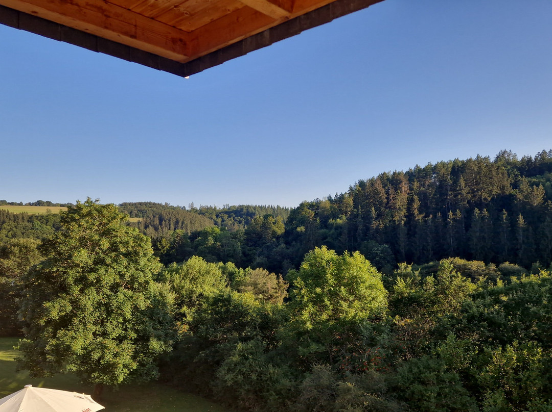 Eifelhotel Daun主图