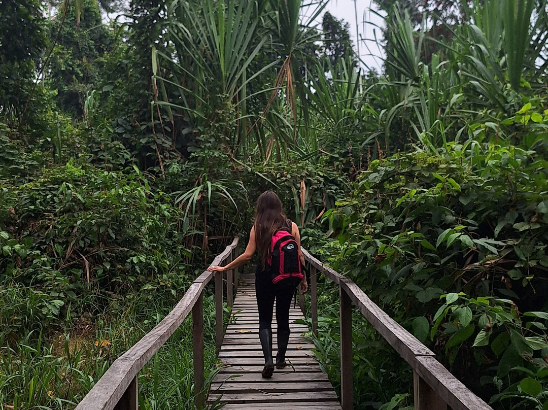 Amazon Peru Travellers-库斯科必去景点