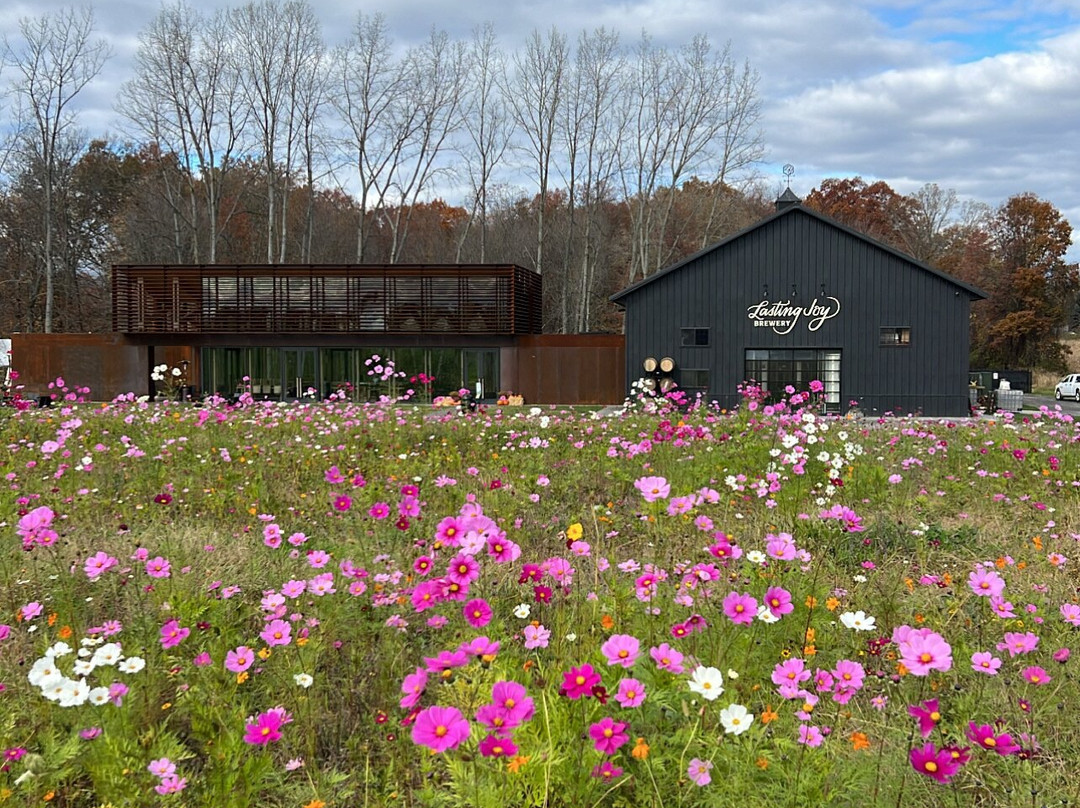 Lasting Joy Brewery-Red Hook必去景点