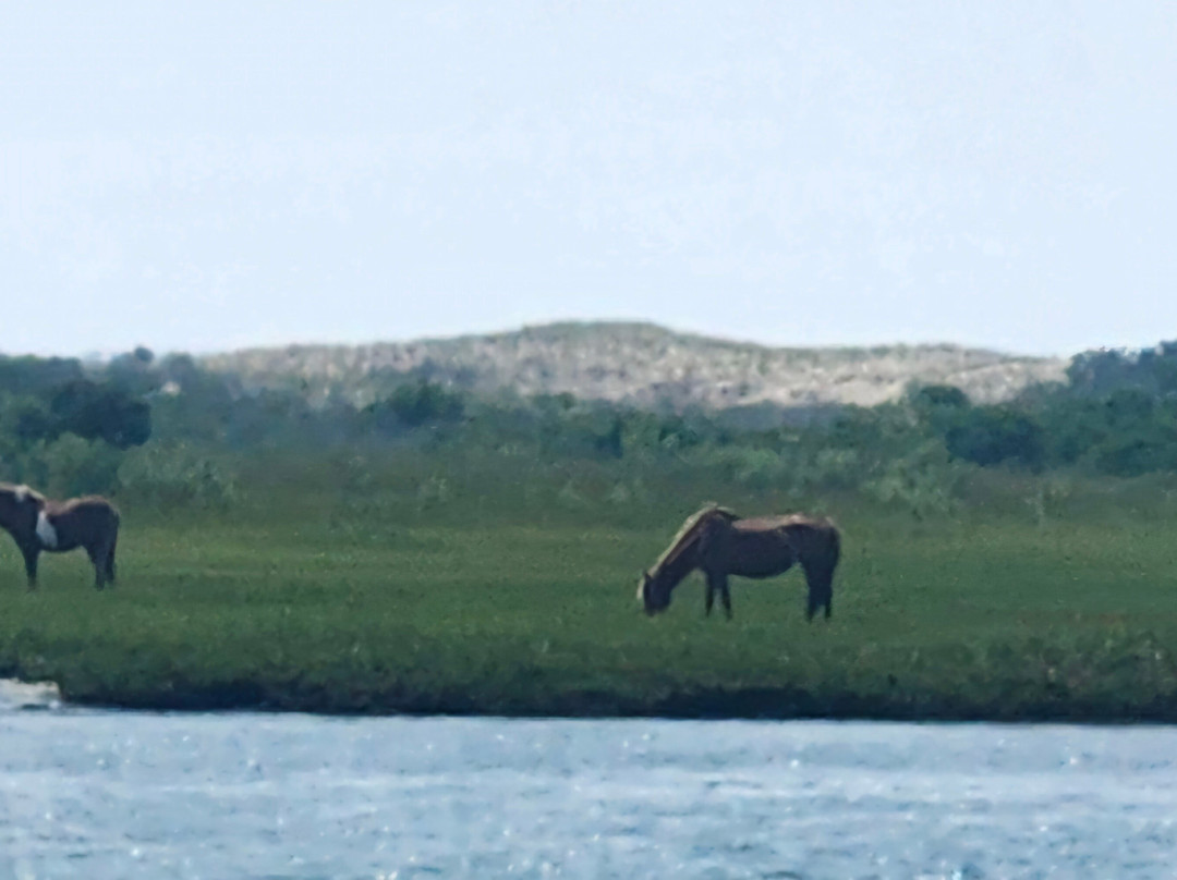 Miss Ocean City-大洋城必去景点