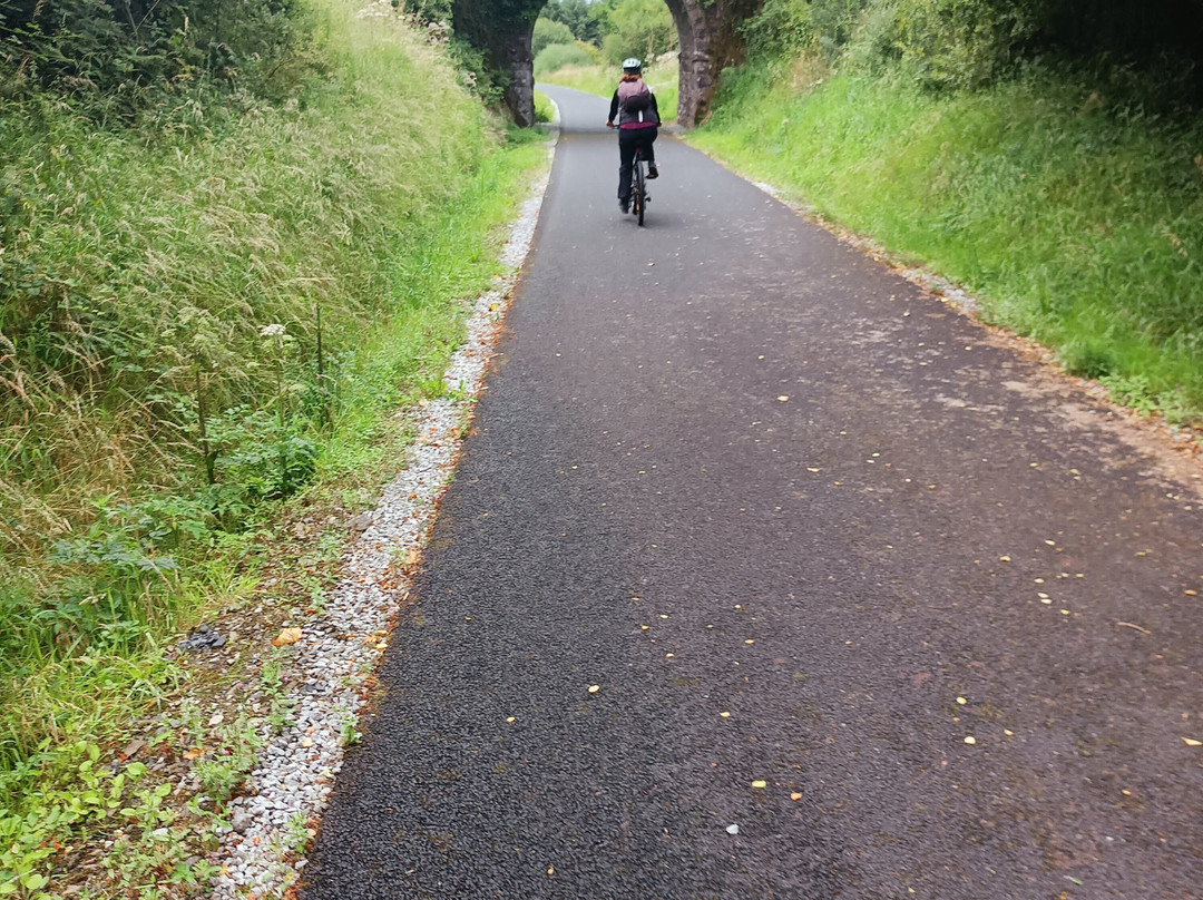 Locomotion Bike Rental-利默里克必去景点