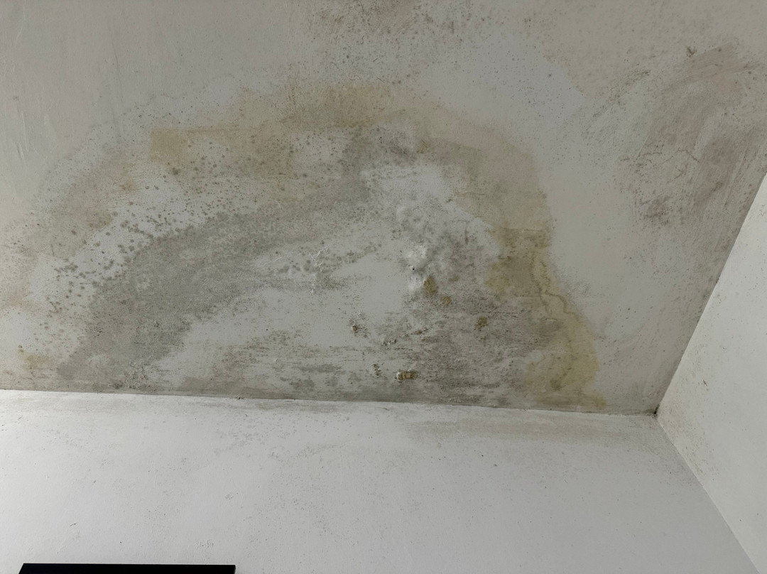 Sharook Riviera Grand Lodge主图