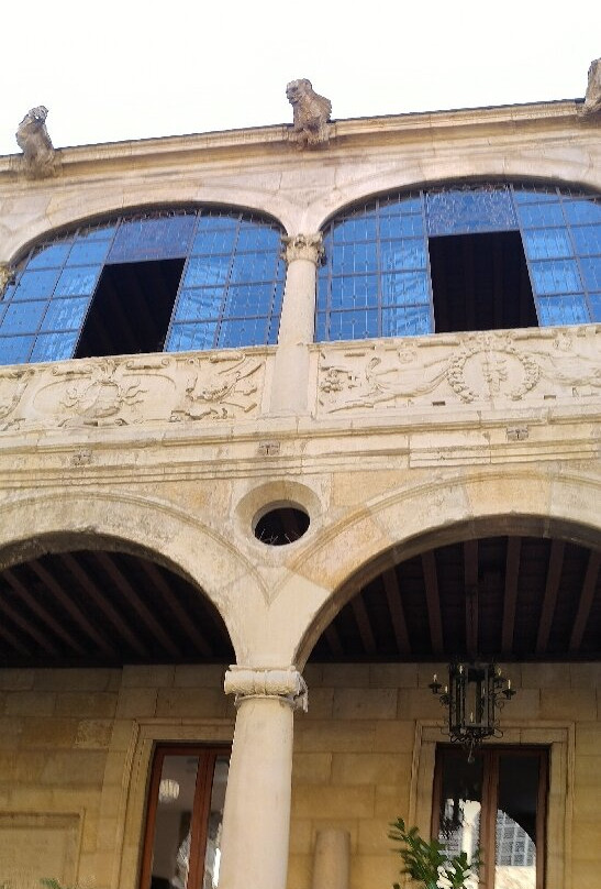Palacio de los Guzmanes-莱昂必去景点