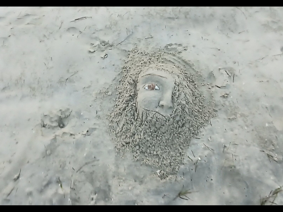 Address Beach Resort Bahrain主图