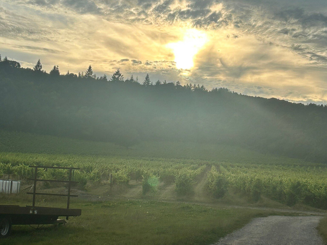 Denbies Vineyard Hotel主图