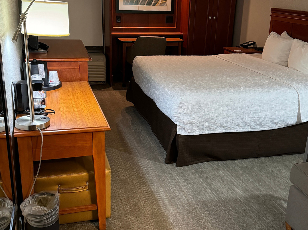 德梅因机场希尔顿恒庭酒店主图